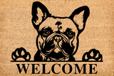 welcome/french bulldog mat