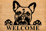 welcome/french bulldog mat